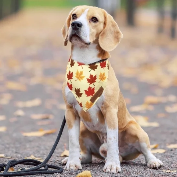 Realeaf Fall Dog Bandanas 2 Pack, Pumpkin and Leaf Print Premium Durable Fabric - Picture 3 of 3